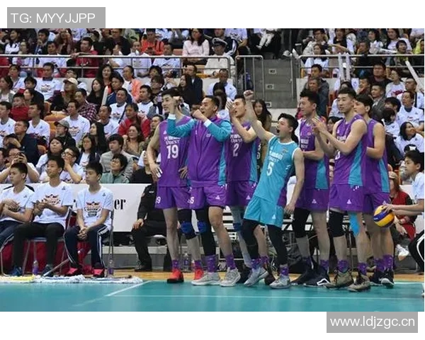 深圳排球队引领排球技术新潮流最新TOP10技巧解析